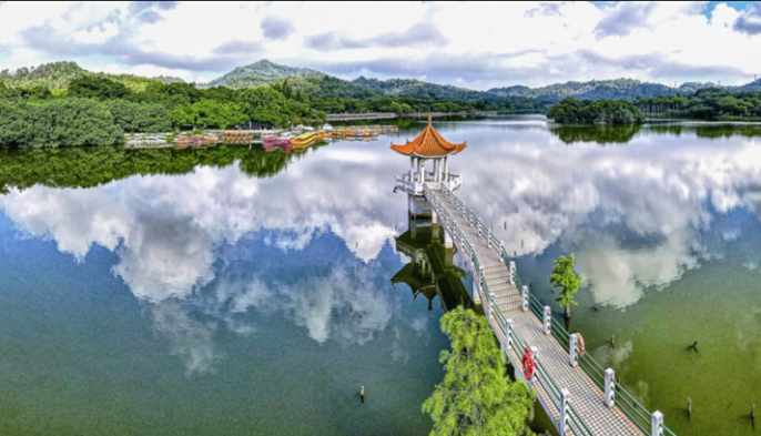 1792407488926798.png 图片7.png